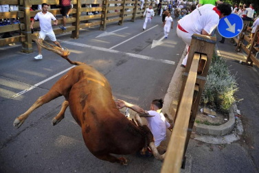 Fotos del encierro del cuarto día de las fiestas de Tudela, homenajes y pasacalles. 27 de julio de 2018
