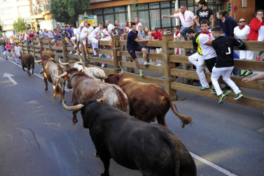 Fotos del encierro del cuarto día de las fiestas de Tudela, homenajes y pasacalles. 27 de julio de 2018