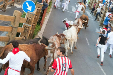 Fotos del encierro del cuarto día de las fiestas de Tudela, homenajes y pasacalles. 27 de julio de 2018