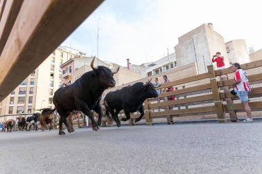 Fotos del encierro y la gigantada del quinto día de las fiestas de Tudela 2018, 28 de julio.