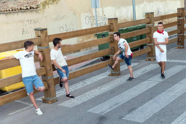 Fotos del encierro y la gigantada del quinto día de las fiestas de Tudela 2018, 28 de julio.