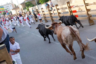 Fotos del encierro y la gigantada del quinto día de las fiestas de Tudela 2018, 28 de julio.