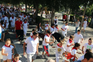 Fotos del encierro y la gigantada del quinto día de las fiestas de Tudela 2018, 28 de julio.