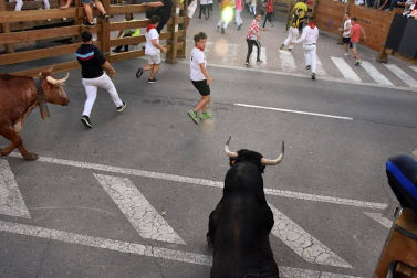Fotos del encierro y la gigantada del quinto día de las fiestas de Tudela 2018, 28 de julio.