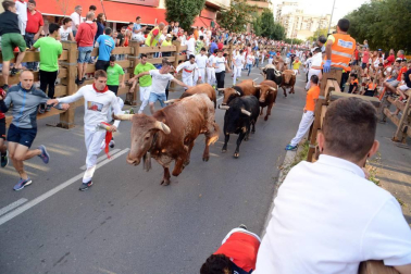 Fotos del encierro y la gigantada del quinto día de las fiestas de Tudela 2018, 28 de julio.