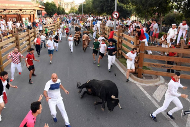 Fotos del encierro y la gigantada del quinto día de las fiestas de Tudela 2018, 28 de julio.