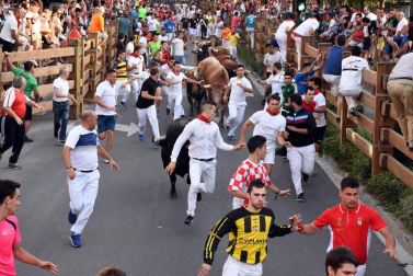 Fotos del encierro y la gigantada del quinto día de las fiestas de Tudela 2018, 28 de julio.