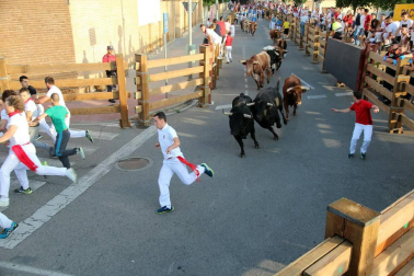 Fotos del encierro y la gigantada del quinto día de las fiestas de Tudela 2018, 28 de julio.