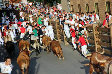 Fotos del encierro y la gigantada del quinto día de las fiestas de Tudela 2018, 28 de julio.