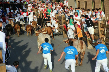 Fotos del encierro y la gigantada del quinto día de las fiestas de Tudela 2018, 28 de julio.