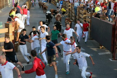 Fotos del encierro y la gigantada del quinto día de las fiestas de Tudela 2018, 28 de julio.