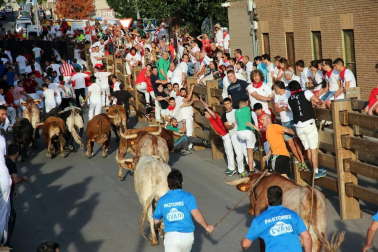 Fotos del encierro y la gigantada del quinto día de las fiestas de Tudela 2018, 28 de julio.