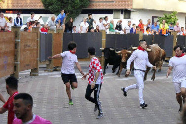 Fotos del encierro y la gigantada del quinto día de las fiestas de Tudela 2018, 28 de julio.