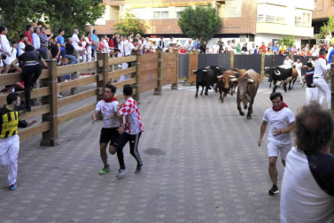 Fotos del encierro y la gigantada del quinto día de las fiestas de Tudela 2018, 28 de julio.