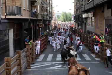 Fotos del encierro y la gigantada del quinto día de las fiestas de Tudela 2018, 28 de julio.