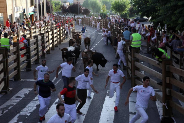 Fotos del encierro y la gigantada del quinto día de las fiestas de Tudela 2018, 28 de julio.