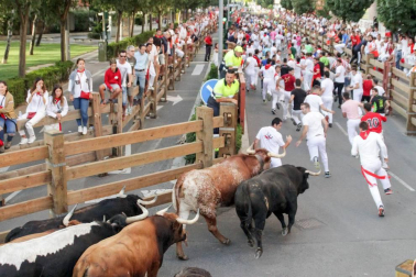Fotos del encierro y la gigantada del quinto día de las fiestas de Tudela 2018, 28 de julio.