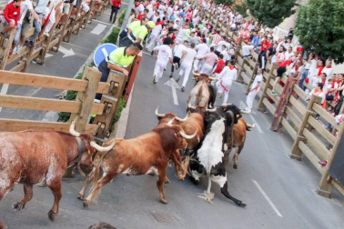 Fotos del encierro y la gigantada del quinto día de las fiestas de Tudela 2018, 28 de julio.