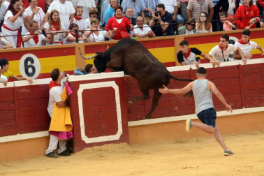 Las reses bravas dejan en la suelta de vaquillas del último día de fiestas de Tudela, 29 de julio, varios heridos.