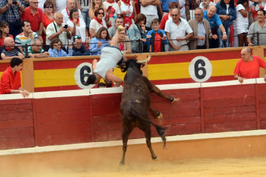 Las reses bravas dejan en la suelta de vaquillas del último día de fiestas de Tudela, 29 de julio, varios heridos.