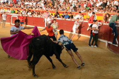 Las reses bravas dejan en la suelta de vaquillas del último día de fiestas de Tudela, 29 de julio, varios heridos.