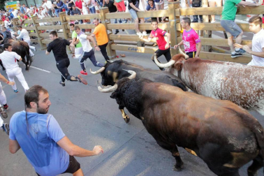 Fotos del encierro, pasacalles, homenaje al tudelano adoptivo, feria de alimentos artesanos y concurso de recortadores del sexto día de las fiestas de Tudela 2018, 29 de julio