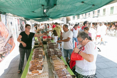 Fotos del encierro, pasacalles, homenaje al tudelano adoptivo, feria de alimentos artesanos y concurso de recortadores del sexto día de las fiestas de Tudela 2018, 29 de julio