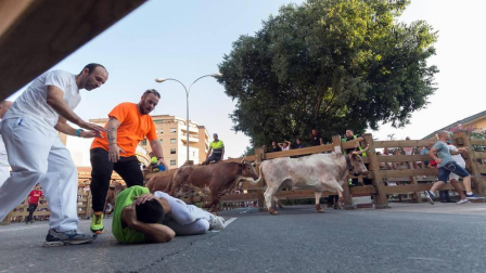 Fotos del encierro, pasacalles, homenaje al tudelano adoptivo, feria de alimentos artesanos y concurso de recortadores del sexto día de las fiestas de Tudela 2018, 29 de julio