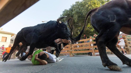 Fotos del encierro, pasacalles, homenaje al tudelano adoptivo, feria de alimentos artesanos y concurso de recortadores del sexto día de las fiestas de Tudela 2018, 29 de julio