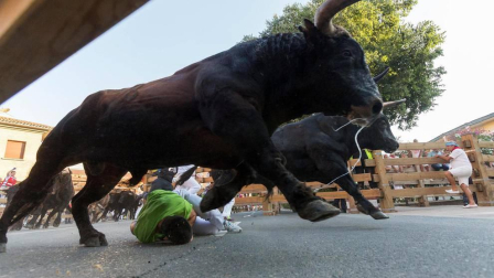 Fotos del encierro, pasacalles, homenaje al tudelano adoptivo, feria de alimentos artesanos y concurso de recortadores del sexto día de las fiestas de Tudela 2018, 29 de julio