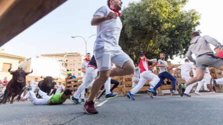 Fotos del encierro, pasacalles, homenaje al tudelano adoptivo, feria de alimentos artesanos y concurso de recortadores del sexto día de las fiestas de Tudela 2018, 29 de julio