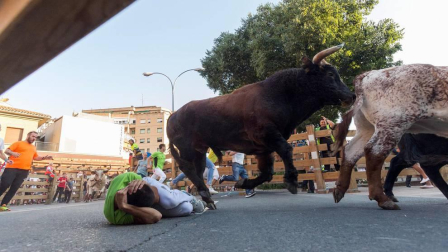 Fotos del encierro, pasacalles, homenaje al tudelano adoptivo, feria de alimentos artesanos y concurso de recortadores del sexto día de las fiestas de Tudela 2018, 29 de julio