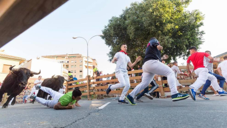 Fotos del encierro, pasacalles, homenaje al tudelano adoptivo, feria de alimentos artesanos y concurso de recortadores del sexto día de las fiestas de Tudela 2018, 29 de julio