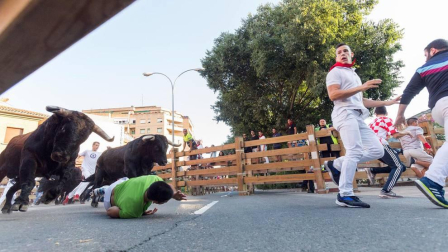 Fotos del encierro, pasacalles, homenaje al tudelano adoptivo, feria de alimentos artesanos y concurso de recortadores del sexto día de las fiestas de Tudela 2018, 29 de julio