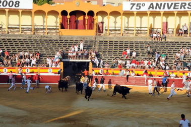 Fotos del encierro, pasacalles, homenaje al tudelano adoptivo, feria de alimentos artesanos y concurso de recortadores del sexto día de las fiestas de Tudela 2018, 29 de julio