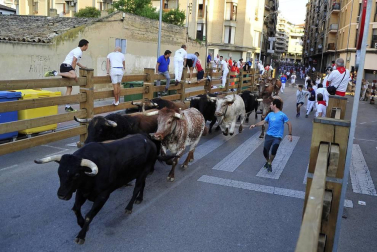 Fotos del encierro, pasacalles, homenaje al tudelano adoptivo, feria de alimentos artesanos y concurso de recortadores del sexto día de las fiestas de Tudela 2018, 29 de julio
