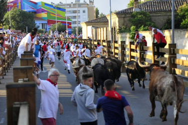 Fotos del encierro, pasacalles, homenaje al tudelano adoptivo, feria de alimentos artesanos y concurso de recortadores del sexto día de las fiestas de Tudela 2018, 29 de julio