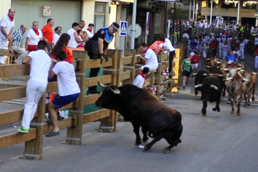 Fotos del encierro, pasacalles, homenaje al tudelano adoptivo, feria de alimentos artesanos y concurso de recortadores del sexto día de las fiestas de Tudela 2018, 29 de julio