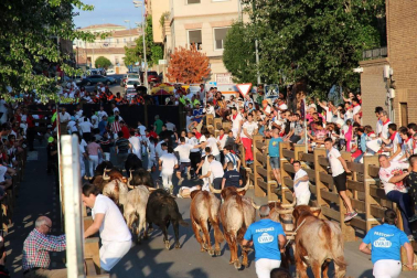 Fotos del encierro, pasacalles, homenaje al tudelano adoptivo, feria de alimentos artesanos y concurso de recortadores del sexto día de las fiestas de Tudela 2018, 29 de julio