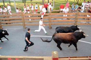 Fotos del encierro, pasacalles, homenaje al tudelano adoptivo, feria de alimentos artesanos y concurso de recortadores del sexto día de las fiestas de Tudela 2018, 29 de julio