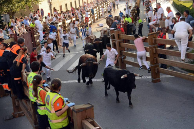 Fotos del encierro, pasacalles, homenaje al tudelano adoptivo, feria de alimentos artesanos y concurso de recortadores del sexto día de las fiestas de Tudela 2018, 29 de julio