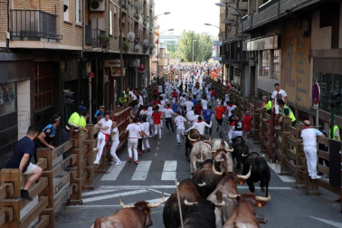 Fotos del encierro, pasacalles, homenaje al tudelano adoptivo, feria de alimentos artesanos y concurso de recortadores del sexto día de las fiestas de Tudela 2018, 29 de julio