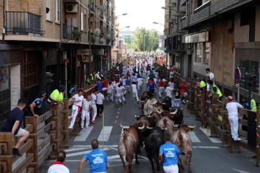 Fotos del encierro, pasacalles, homenaje al tudelano adoptivo, feria de alimentos artesanos y concurso de recortadores del sexto día de las fiestas de Tudela 2018, 29 de julio