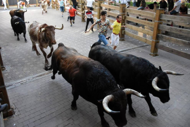 Fotos del encierro, pasacalles, homenaje al tudelano adoptivo, feria de alimentos artesanos y concurso de recortadores del sexto día de las fiestas de Tudela 2018, 29 de julio