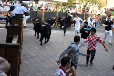 Fotos del encierro, pasacalles, homenaje al tudelano adoptivo, feria de alimentos artesanos y concurso de recortadores del sexto día de las fiestas de Tudela 2018, 29 de julio