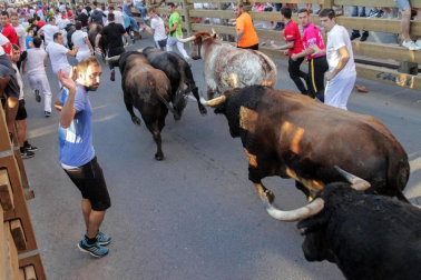 Fotos del encierro, pasacalles, homenaje al tudelano adoptivo, feria de alimentos artesanos y concurso de recortadores del sexto día de las fiestas de Tudela 2018, 29 de julio