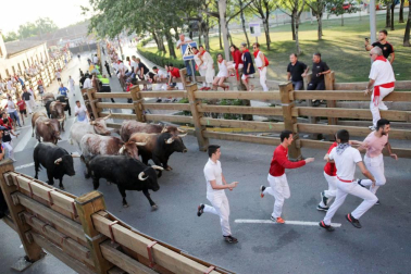 Fotos del encierro, despedida de gigantes, paellada popular y encierro infantil del último día de las fiestas de Tudela 2018, 29 de julio.