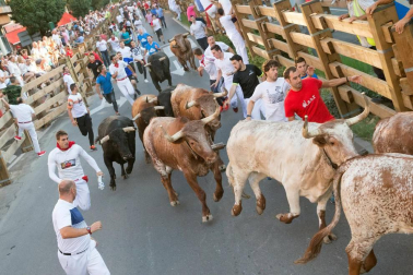 Fotos del encierro, despedida de gigantes, paellada popular y encierro infantil del último día de las fiestas de Tudela 2018, 29 de julio.