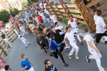 Fotos del encierro, despedida de gigantes, paellada popular y encierro infantil del último día de las fiestas de Tudela 2018, 29 de julio.