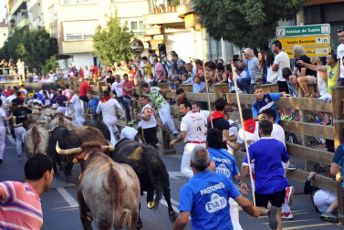Fotos del encierro, despedida de gigantes, paellada popular y encierro infantil del último día de las fiestas de Tudela 2018, 29 de julio.